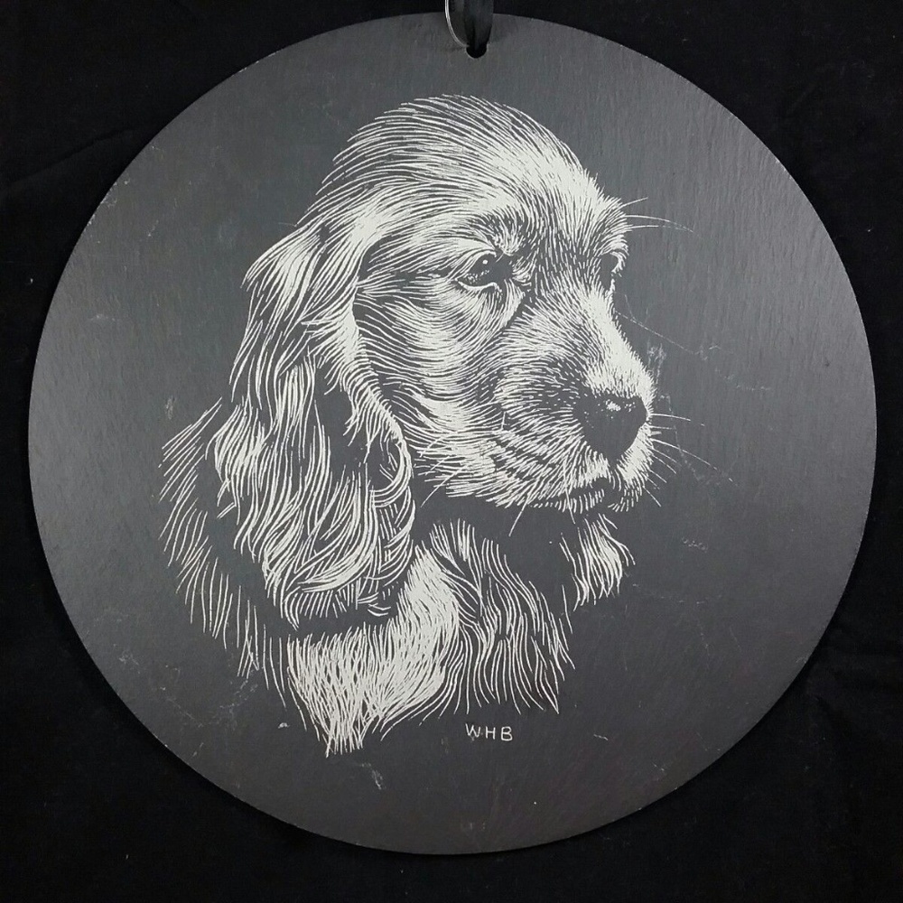 Deco Round Iron Wall Door Dog Plate Black 9"